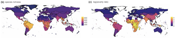 The Biodiversity–Poverty Paradox
